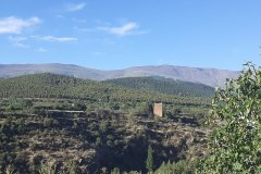 20210704_083722-TORRE-DE-ALCAZAR