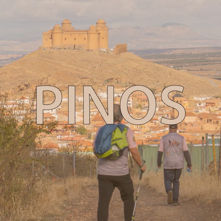 Fotos de la zona de los Pinos (La Calahorra)