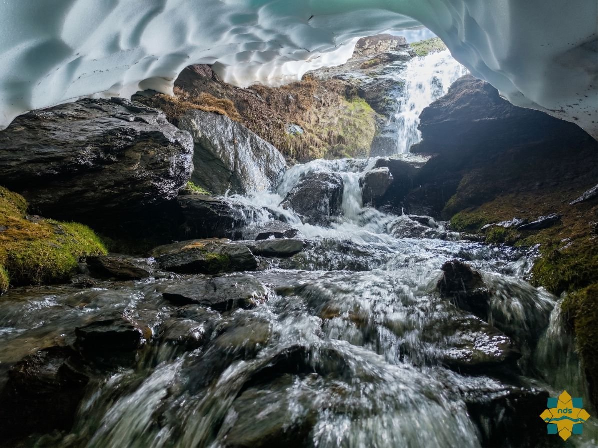 Detalle Hielo Glaciar